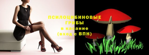 СК Корсаков