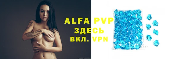 СК Корсаков